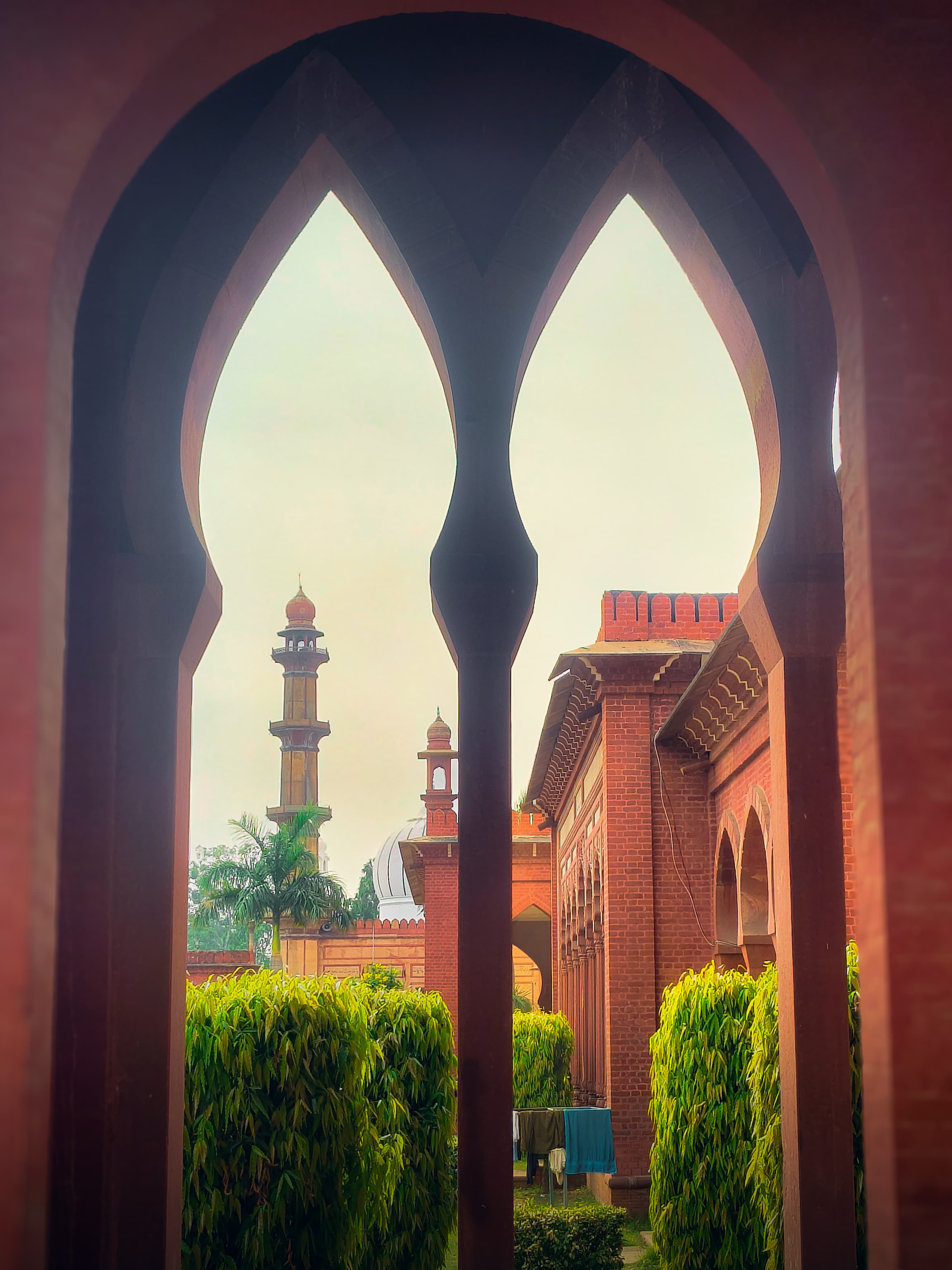 Aligarh Muslim University (AMU)